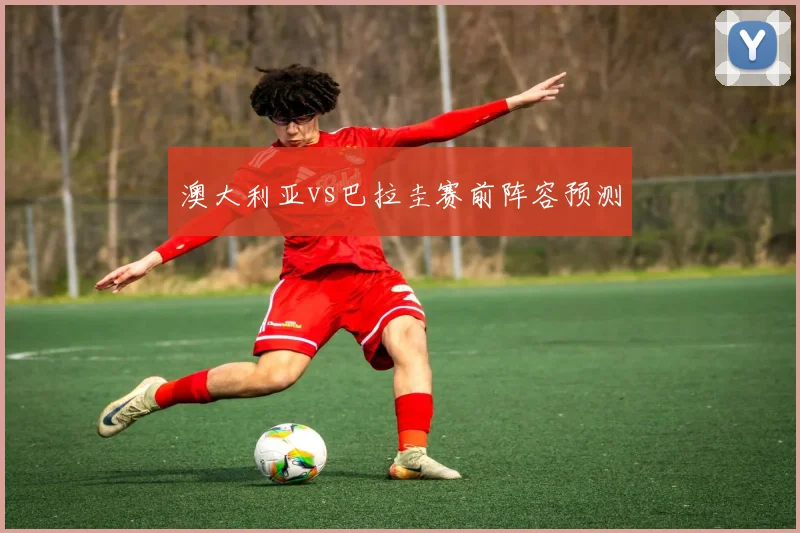 澳大利亚vs巴拉圭赛前阵容预测