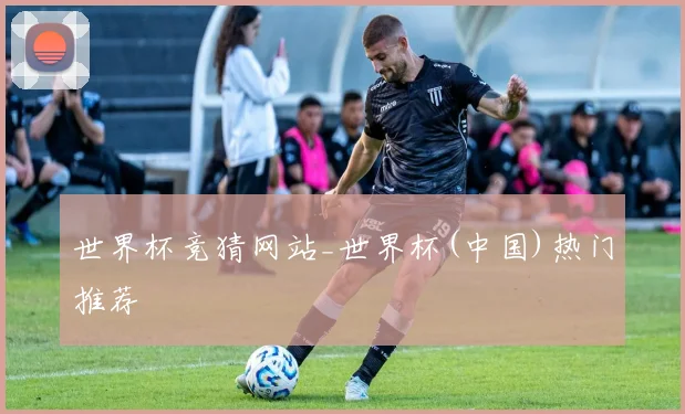 世界杯竞猜网站_世界杯(中国)热门推荐