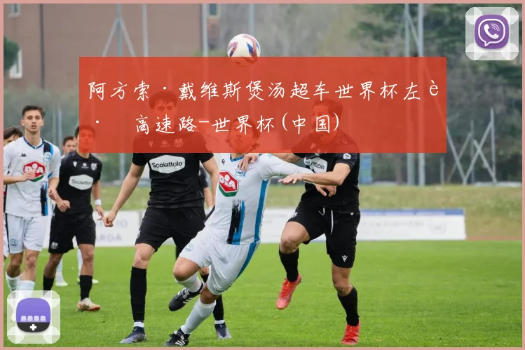 阿方索·戴维斯煲汤超车世界杯左路高速路-世界杯(中国)