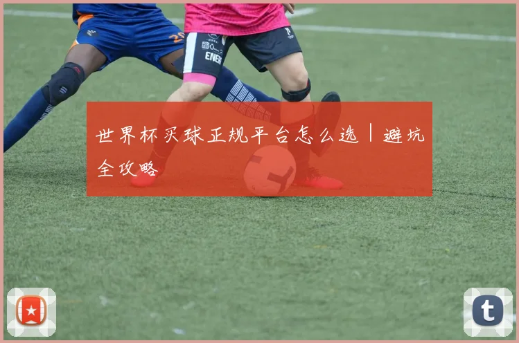 世界杯买球正规平台怎么选｜避坑全攻略