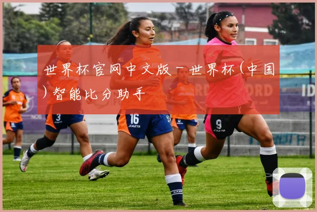世界杯官网中文版 - 世界杯(中国)智能比分助手
