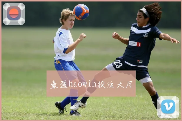 豪盈haowin投注大厅