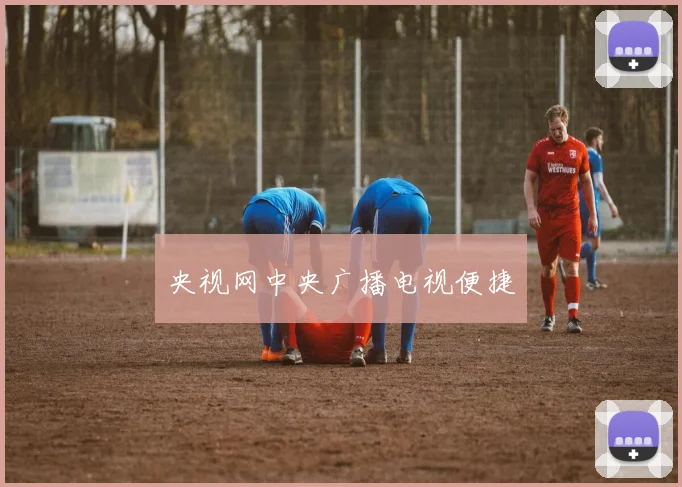 央视网中央广播电视便捷