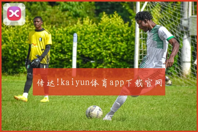传达!kaiyun体育app下载官网
