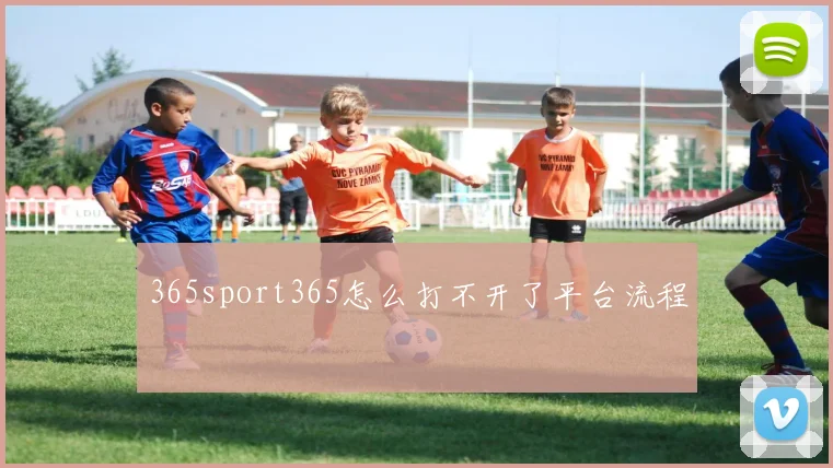 365sport365怎么打不开了平台流程