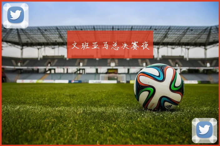 文班亚马总决赛夜