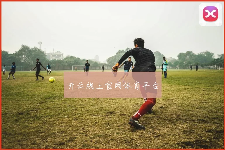 开云线上官网体育平台