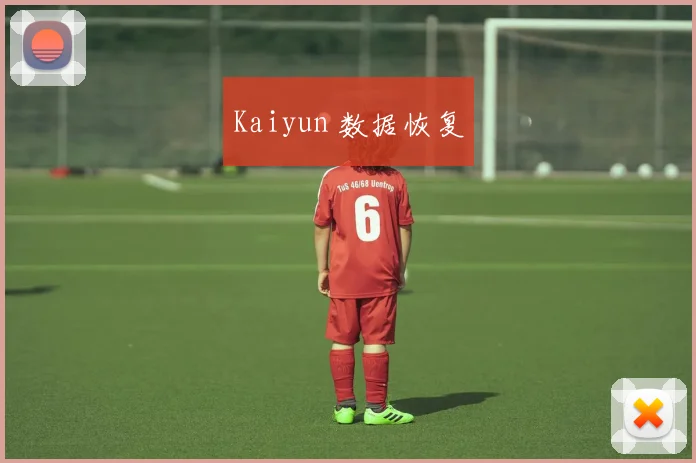 Kaiyun 数据恢复