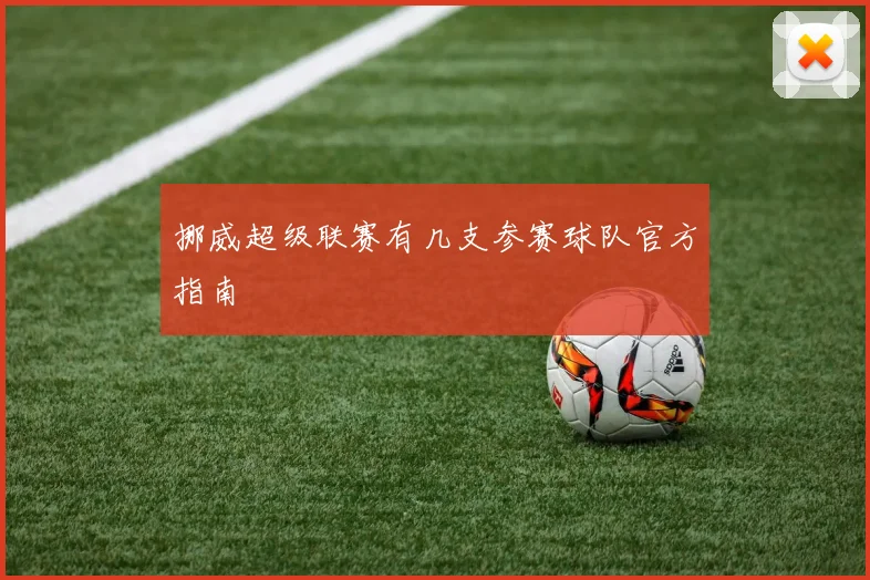 挪威超级联赛有几支参赛球队官方指南