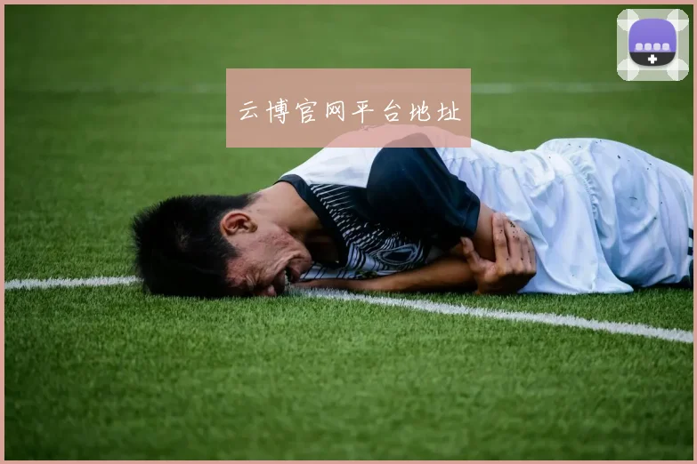 云博官网平台地址