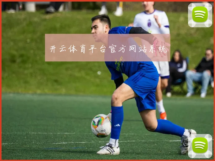开云体育平台官方网站系统