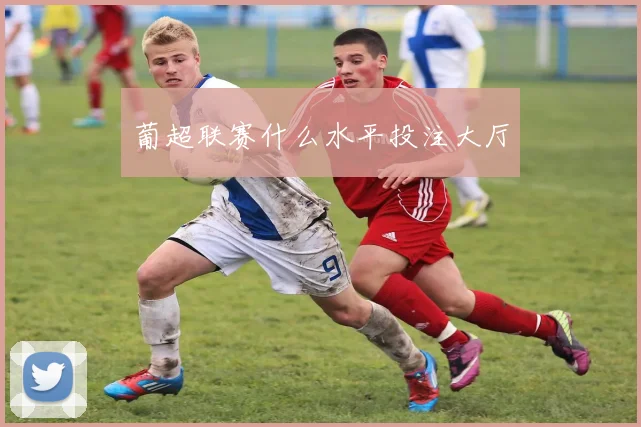 葡超联赛什么水平投注大厅