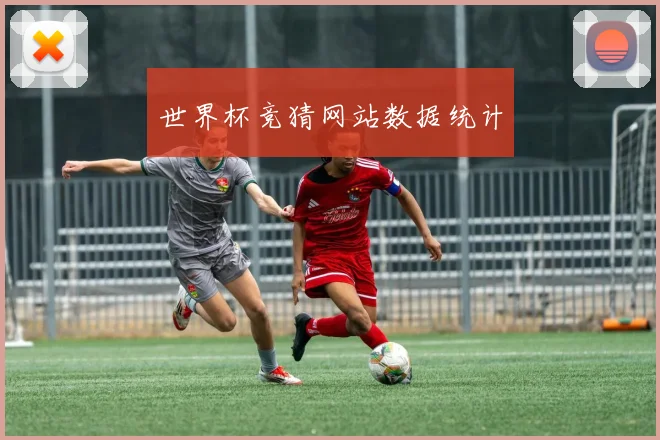 世界杯竞猜网站数据统计