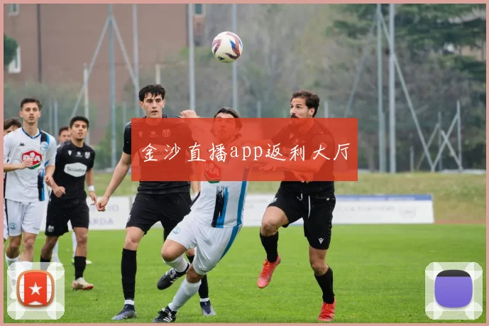 金沙直播app返利大厅