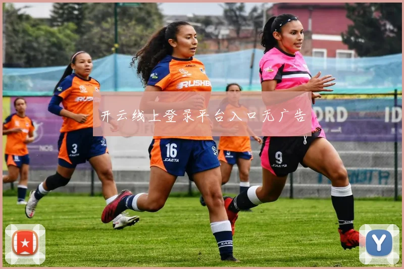开云线上登录平台入口无广告