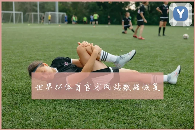 世界杯体育官方网站数据恢复