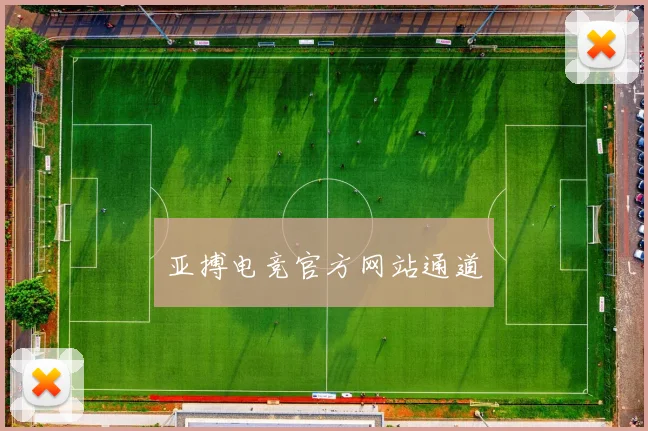 亚搏电竞官方网站通道