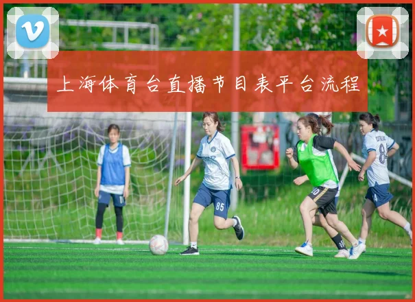 上海体育台直播节目表平台流程