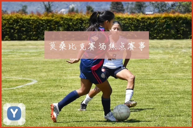 莫桑比克赛场焦点赛事