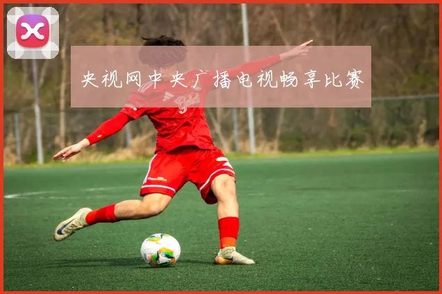 央视网中央广播电视畅享比赛