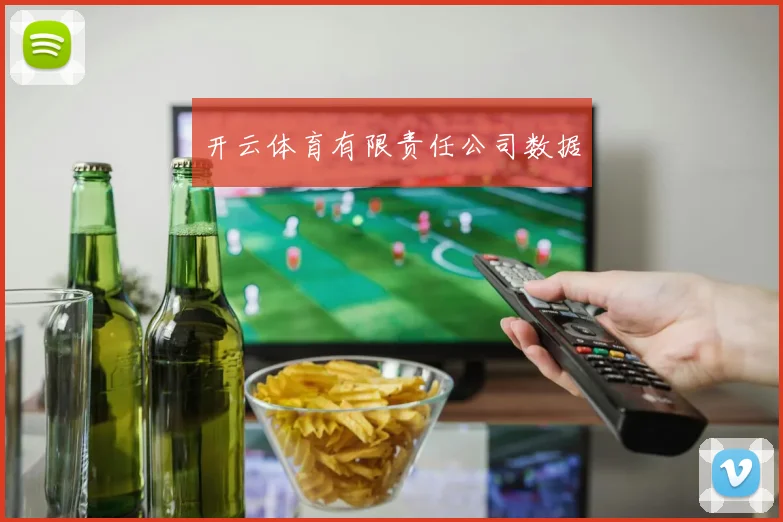 开云体育有限责任公司数据