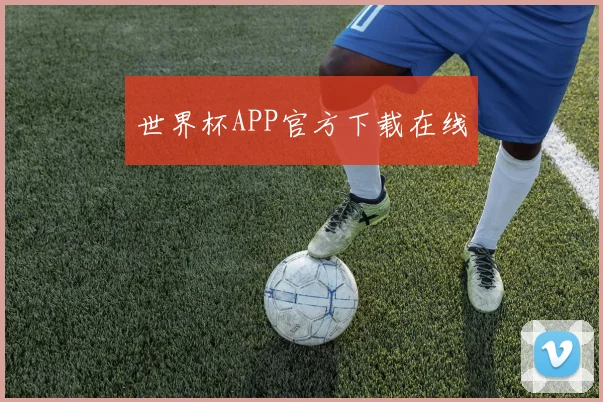 世界杯APP官方下载在线