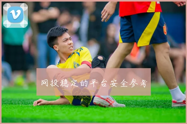 网投稳定的平台安全参考