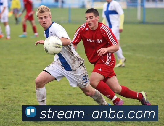 登录器