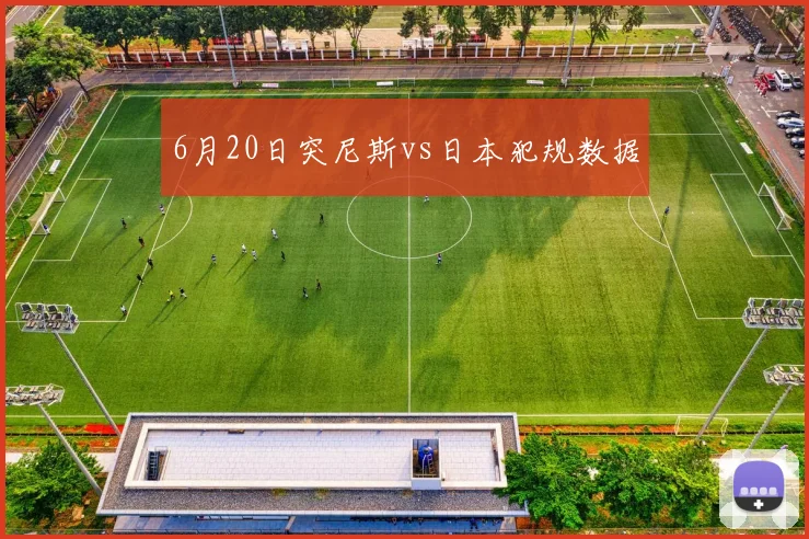 6月20日突尼斯vs日本犯规数据