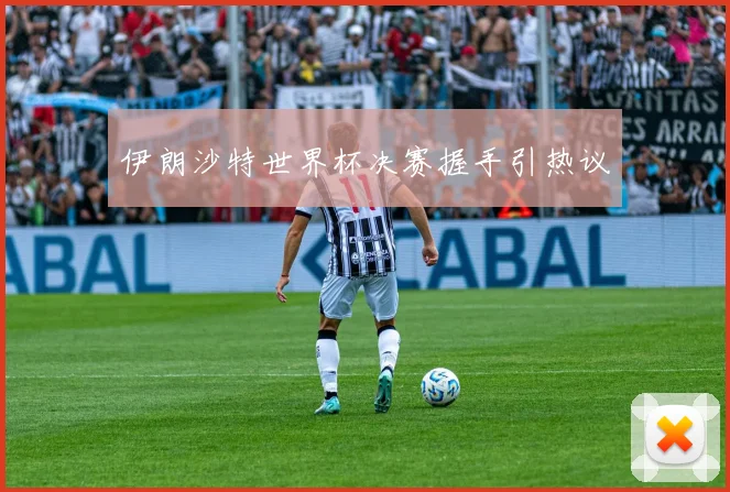伊朗沙特世界杯决赛握手引热议